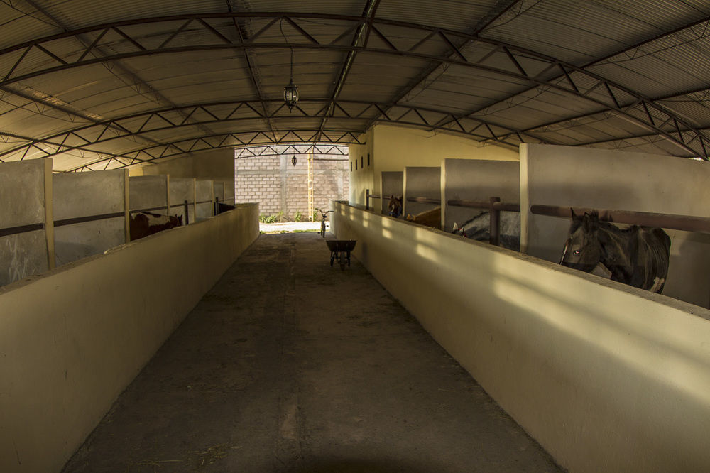 Teoticamp Hotel San Juan Teotihuacan Bagian luar foto